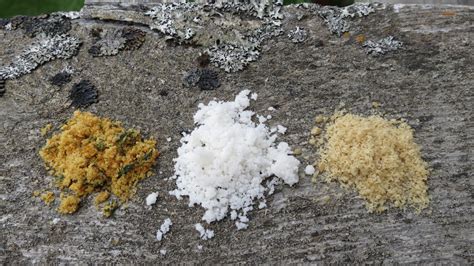 The Magic of Making Salt | Michael Ruhlman