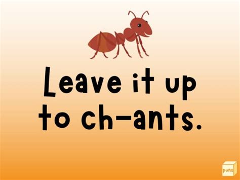 115 Funny Ant Puns To Make You Laugh Ant Il You Cry Box Of Puns