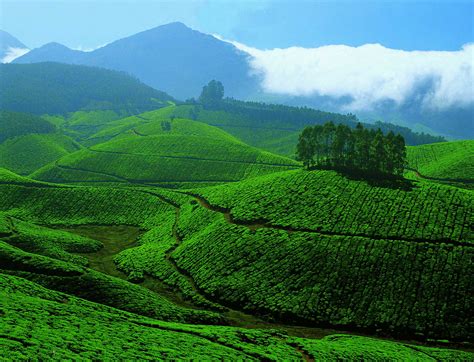 4 Nights 5 Days Munnar Alleppey Tour Holiday Packages