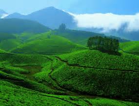 Kerala , a state in southern india is known as a tropical paradise of waving palms and wide sandy beaches. Kerala Tourism introduces gesture-based website - Travel ...