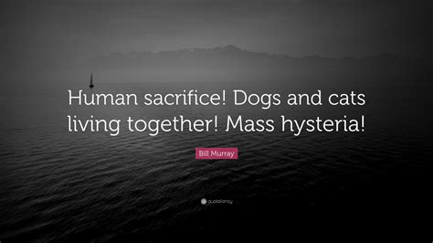 Bill Murray Quote Human Sacrifice Dogs And Cats Living Together