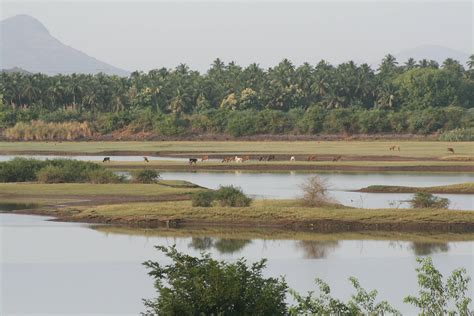 Life In Tamil Nadu Lakesideindia Page 4