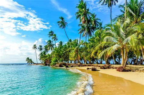 Caribbean Beach Island Palms Sea Tropics Paradise Beautiful