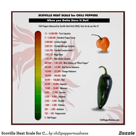 Scoville Heat Scale For Chili Peppers Poster Stuffed
