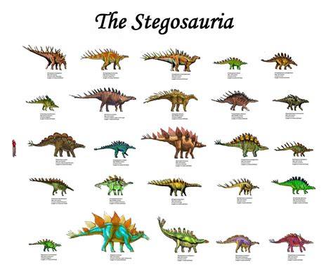 Types Of Dinosaurs Chart