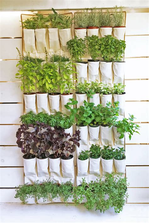 15 Brilliant Diy Herb Garden Ideas