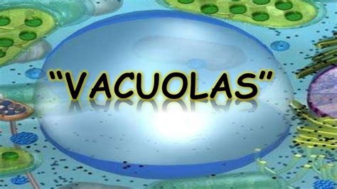 Trending Celula Eucariota Y Sus Partes Principales Pics Marca Images