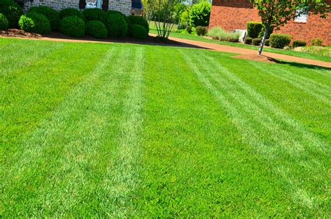How To Get That Perfect Level Cut For Your Lawn