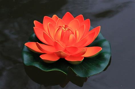 Check spelling or type a new query. Floating Water Lanterns Uk - SkyLantern-Original.co.uk