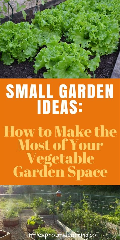 Small Garden Ideas Make The Most Of Your Vegetable Garden
