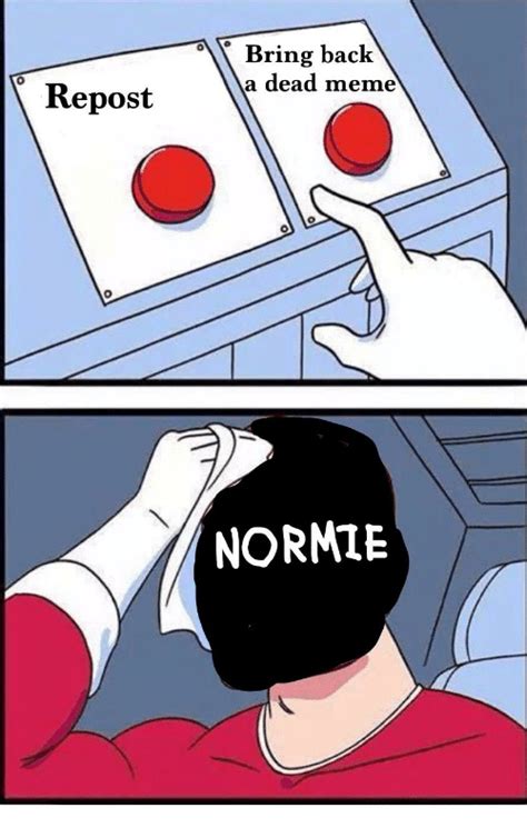 You Are A Normie And You Should Be Ashamed Of Yourself Meme By Bbr