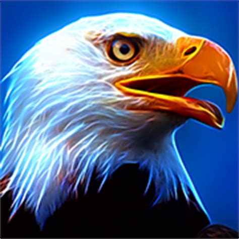 Awarded as best picture of the year. Free Eagle Profile Picture - http://free-profile-pics.com