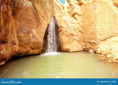 View Of Waterfall In Mountain Oasis Chebika Sahara Desert Tunisia