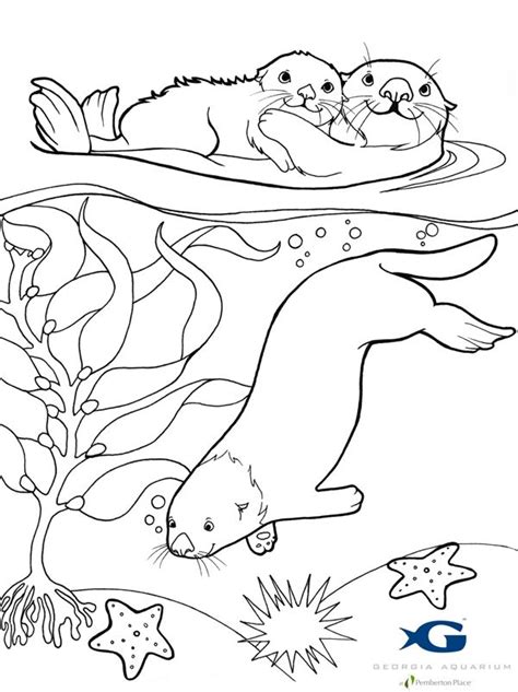 These files with a friend please send them the link to the page on www.easypeasyandfun.com that hosts the printable. sea otter coloring pages - Google Search | Coloring pages, Animal coloring pages, Otters
