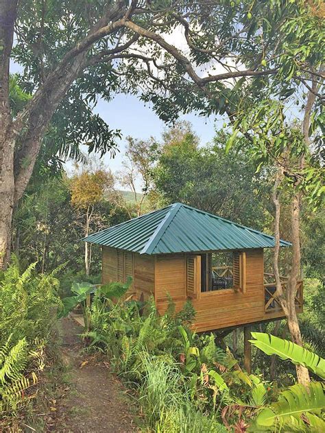 Gorgeous Rainforest Cabins In El Yunque Puerto Rico Eco Lodge Eco