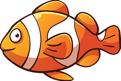 Clown Fish Clip Art Vector Images And Illustrations Istock