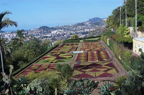 Free Images Botanic Funchal Madeira Mosaic Botany Landscape