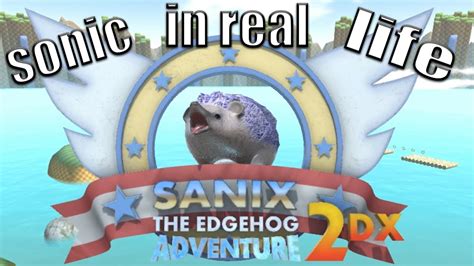 Real Life Sonic Sanix The Edghehog Youtube