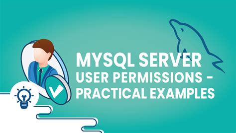 Mysql Server User Permissions Practical Examples