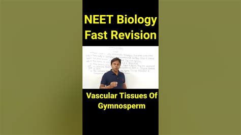 Vascular Tissues Of Gymnosperm Cbse Class 11 Neet Biology Shorts