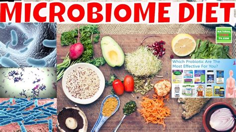 The Microbiome Diet With The 4 Rs Protocol For Good Health You Should