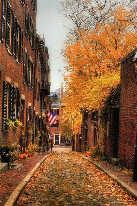 Autumn Boston In The Fall Boston Photography Scenery