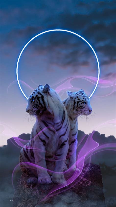 1080p Free Download White Tigers Animal Drawings Fantasy Hd Phone