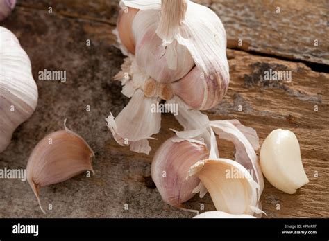 Fresh Raw Garlic Cloves Stock Photo Alamy