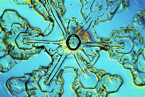 Lm Of A Snow Crystal Stock Image E1270099 Science Photo Library