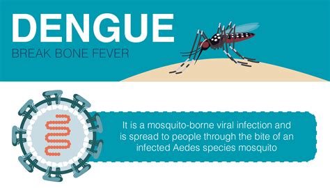 Overivew Of Dengue Know Its Signs And Symptoms