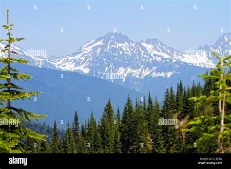 Elk Thurston Mountain Hike Hi Res Stock Photography And Images Alamy