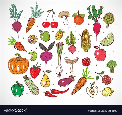 Colored Doodle Fruits And Vegetables Isolated On Vector Image