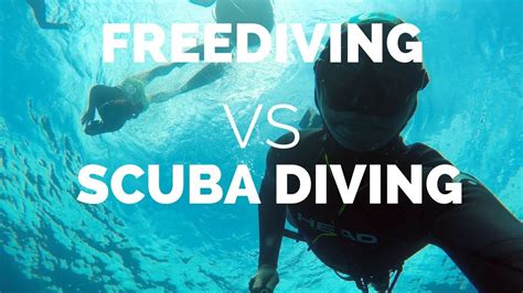 Freediving Vs Scuba Diving What Is Better Youtube
