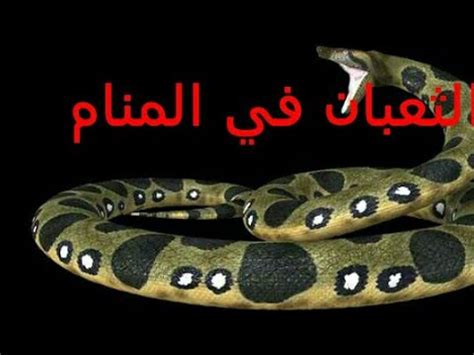 تفسير رؤية الافعى في المنام. تفسير سم الافعى في المنام : ØªÙ Ø³ÙŠØ± Ø­Ù„Ù… Ø§Ù„Ø³Ù… Ù ...