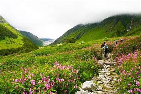 Valley Of Flowers Hemkund Sahib Trek Shikhar Travels Travel Reporter