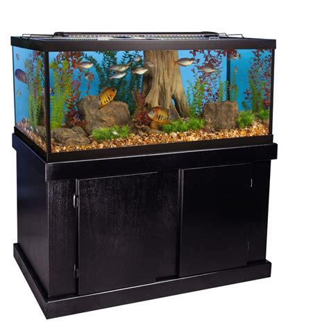 Aqueon 54 Gallon Aquarium Buy Fish Tanks Best Fish Tanks