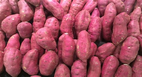 Why Purple Not Pink Killer Facts About Purple Sweet Potatoes
