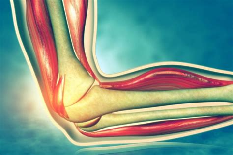 10 Facts About Ulnar Nerve Entrapment Facty Health