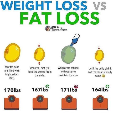 Pin On Fast Weight Loss Tips And Diet