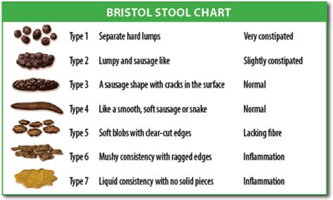 Bristol Stool Chart Types Of Poop Is Your Poop Healthy 47 Off