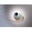 New Artificial Eye Mimics A Retinas Natural Curve  JKDawn
