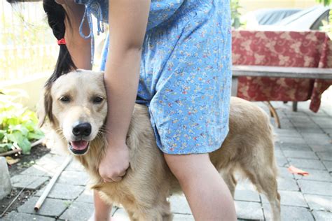 Maybe you would like to learn more about one of these? How to Walk Your Dog: 12 Steps (with Pictures) - wikiHow
