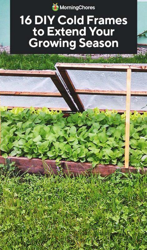 16 Diy Cold Frames To Extend Your Growing Season