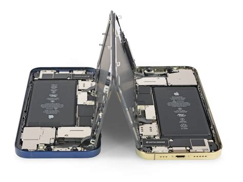 Teardown Of Iphone 12 And Iphone 12 Pro Shows Interchangeable Display