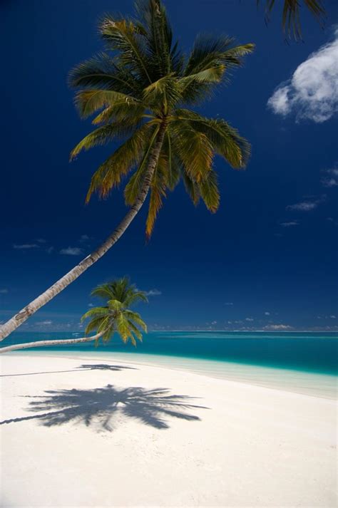 Conrad Maldives Rangali Island In 2020 Beach Beautiful