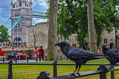 Curiosità Da Vedere A Londra Scopri Le 15 Cose Che Forse Non Sai Sulla