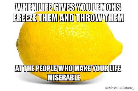 When Life Gives You Lemons Freeze Them And Throw Them At The People Who