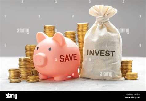 Investment Or Savings Piggy Bank For Savings And Money Bag For