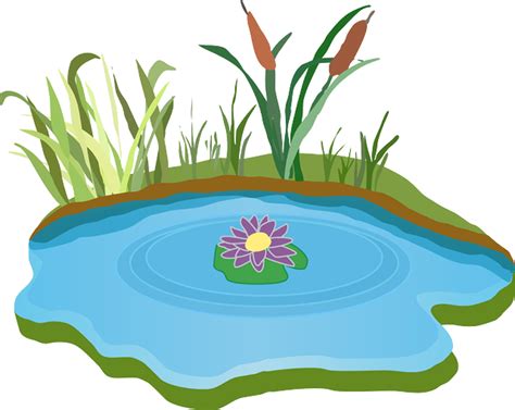 Download High Quality Bridge Clipart Pond Transparent Png Images Art