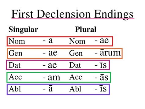 Latin 1st Declension Endings Diagram Quizlet